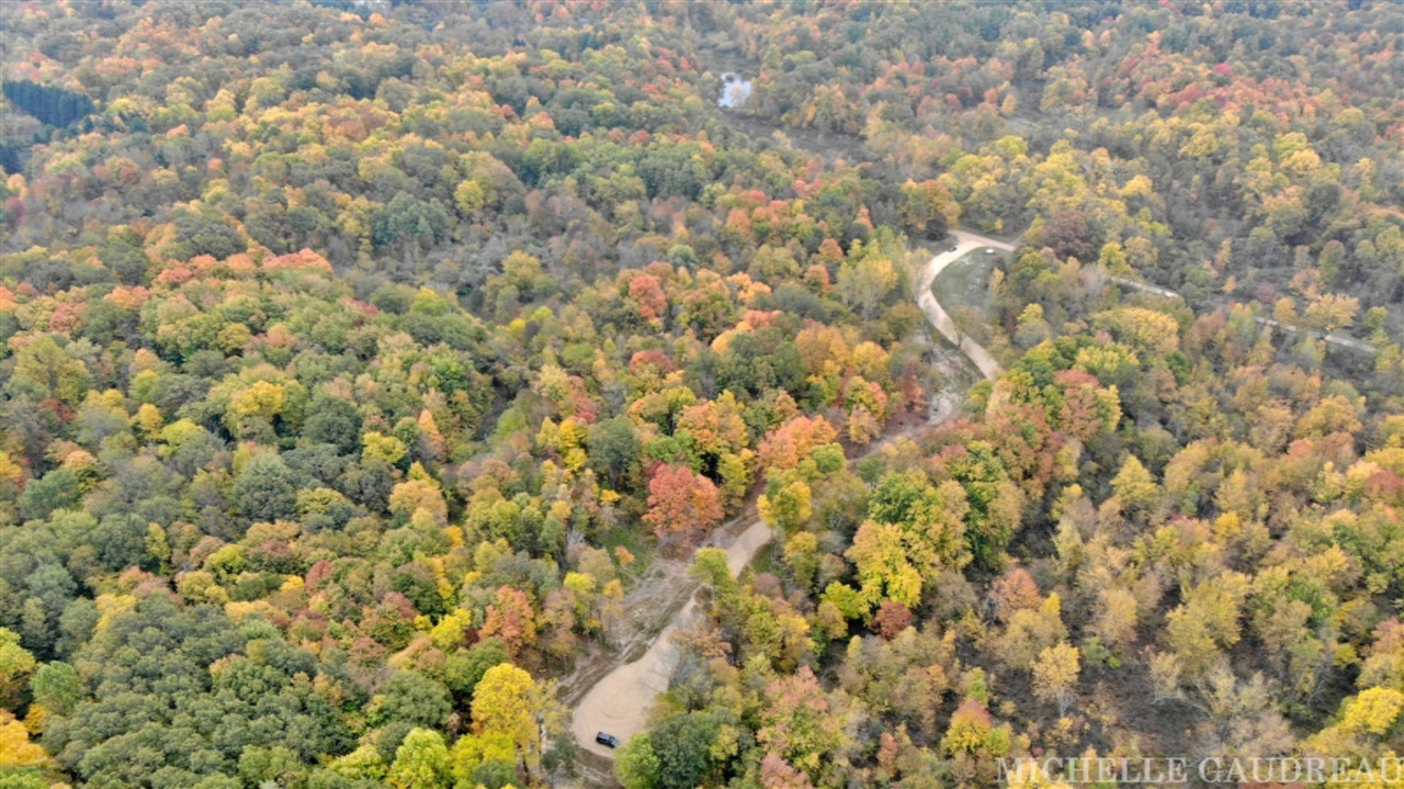 North N Ridge, Unit PARCEL 4 Middleville, MI 49333 - Photo 6 of 9
