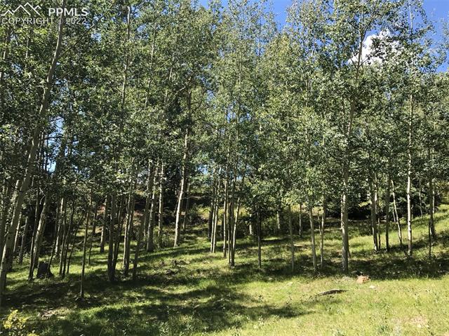 5665 County Road Victor, CO 80860 - Photo 39 of 40 Gallery Image 39