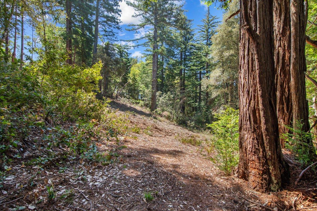 0 Native Sons Road Redwood City, CA 94062 - Photo 17 of 28
