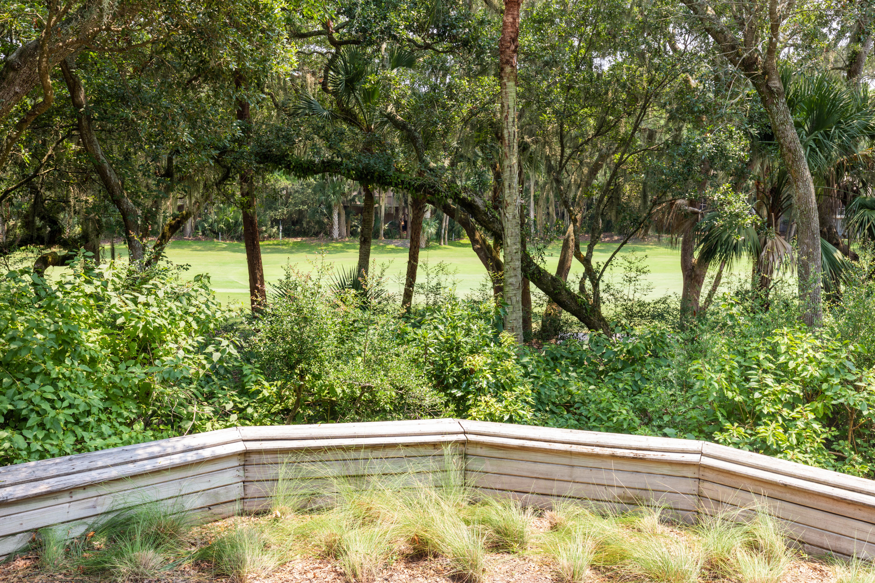 2541 High Hammock Road Seabrook Island, SC 29455 - Photo 49 of 77 2541HighHammock- KeenEyeMarketing - 056