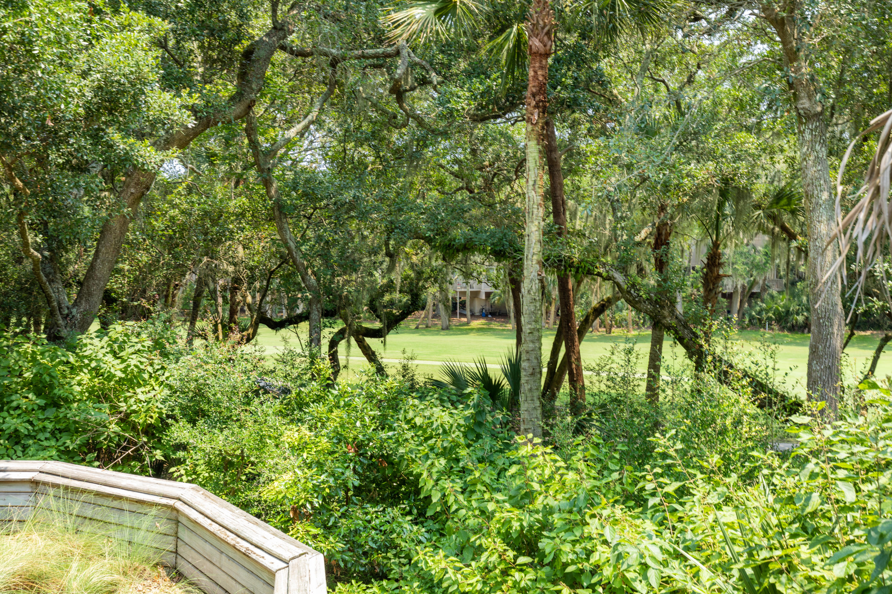 2541 High Hammock Road Seabrook Island, SC 29455 - Photo 51 of 77 2541HighHammock- KeenEyeMarketing - 058