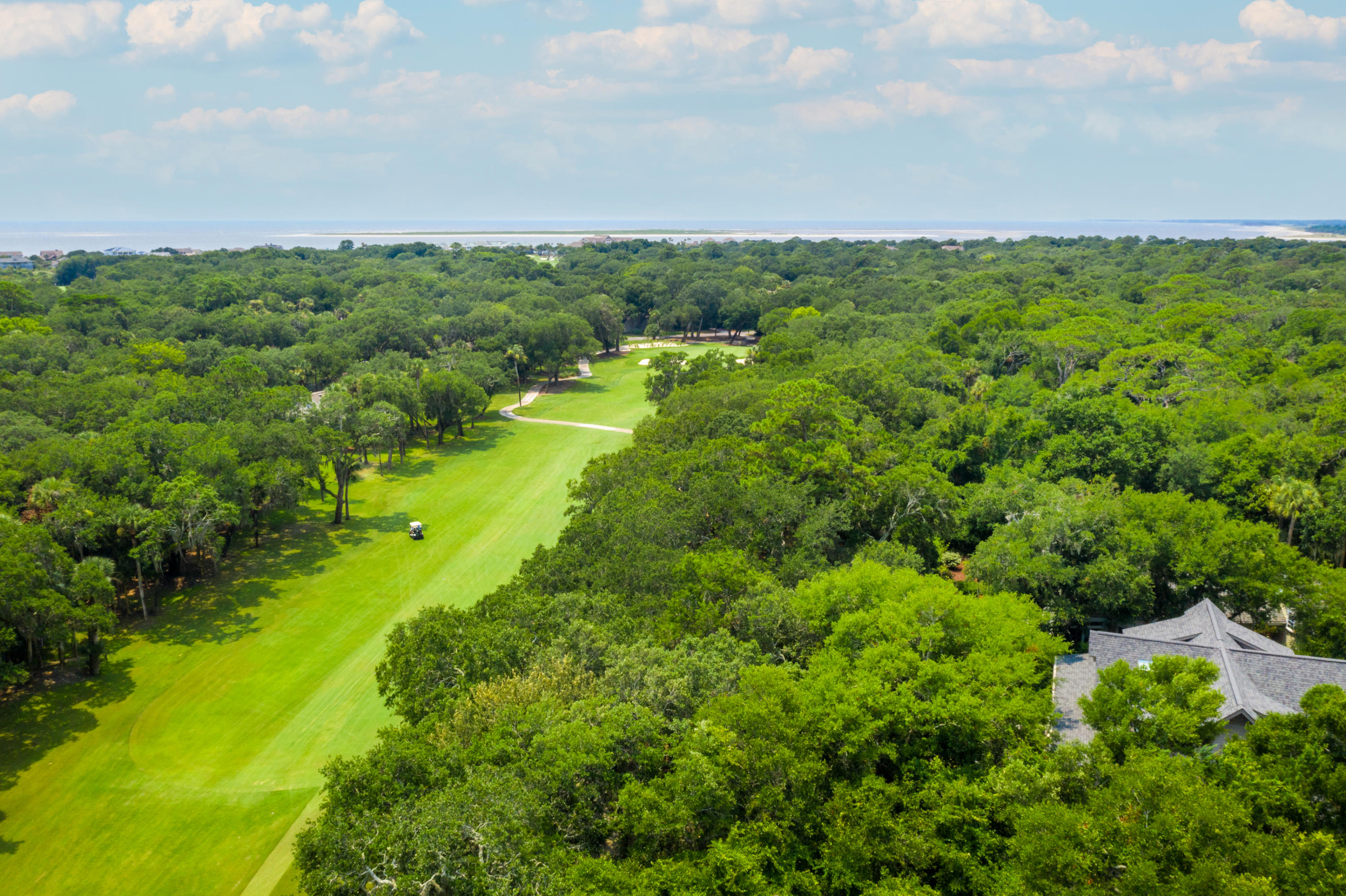2541 High Hammock Road Seabrook Island, SC 29455 - Photo 62 of 77 2541HighHammock- KeenEyeMarketing - 068