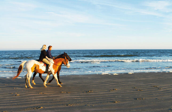 2541 High Hammock Road Seabrook Island, SC 29455 - Photo 75 of 77 8_1MB_Seabrook_Equestrian Beach Ride 1_R