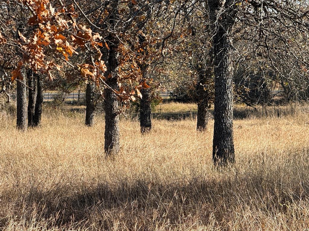 Tbd Tbd Private Road, Unit 1403 Morgan, TX 76671 - Photo 7 of 23