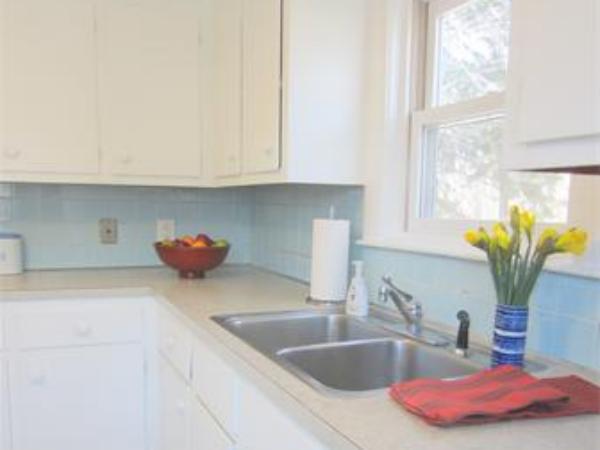 221 Lincoln Road Lincoln, MA 01773 - Photo 16 of 17 a kitchen with a sink and a potted plant