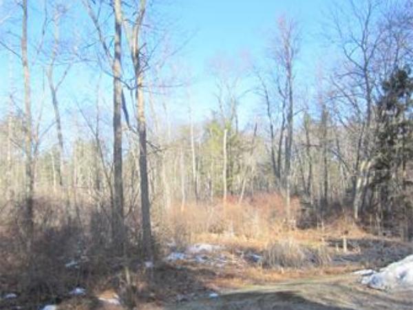 221 Lincoln Road Lincoln, MA 01773 - Photo 8 of 17 a view of backyard with green space