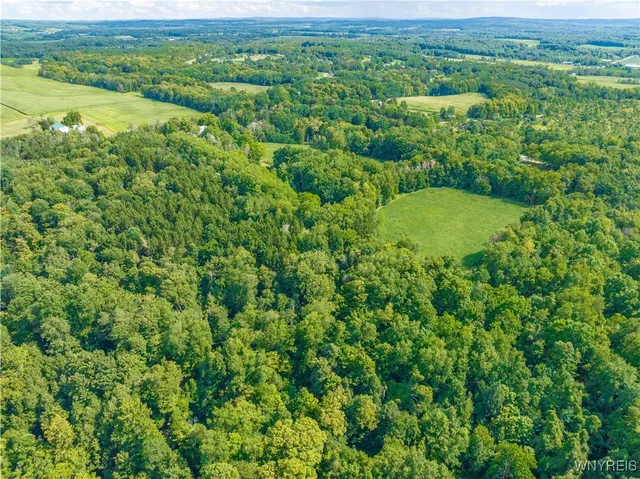 $650,000 | 13092 Quaker Street, Collins, NY 14034