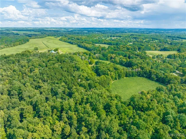 $650,000 | 13092 Quaker Street, Collins, NY 14034