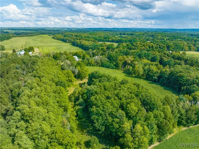 $650,000 | 13092 Quaker Street, Collins, NY 14034