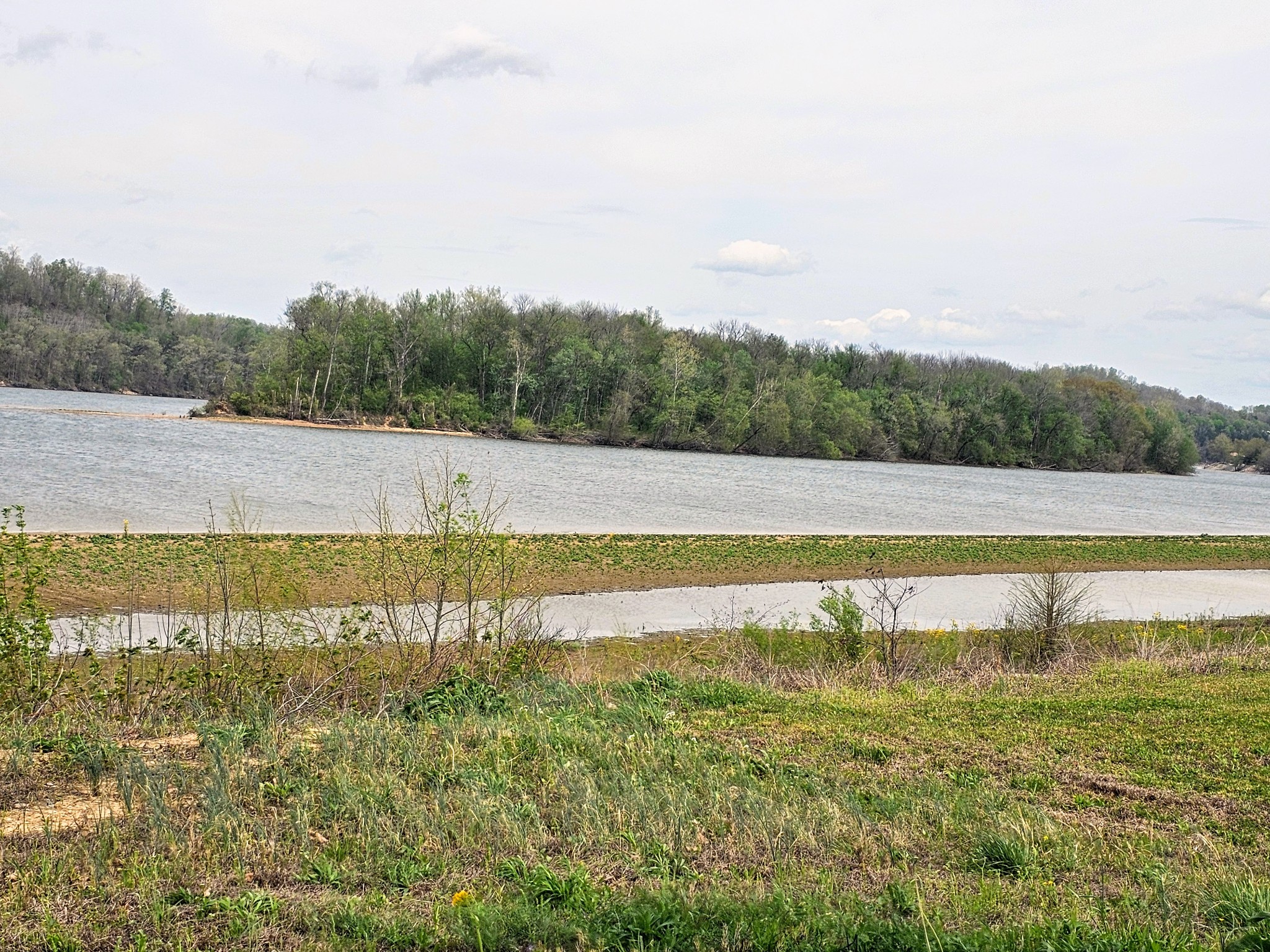 2475 Hardin Bottom River Road Clifton, TN 38425 - Photo 29 of 29