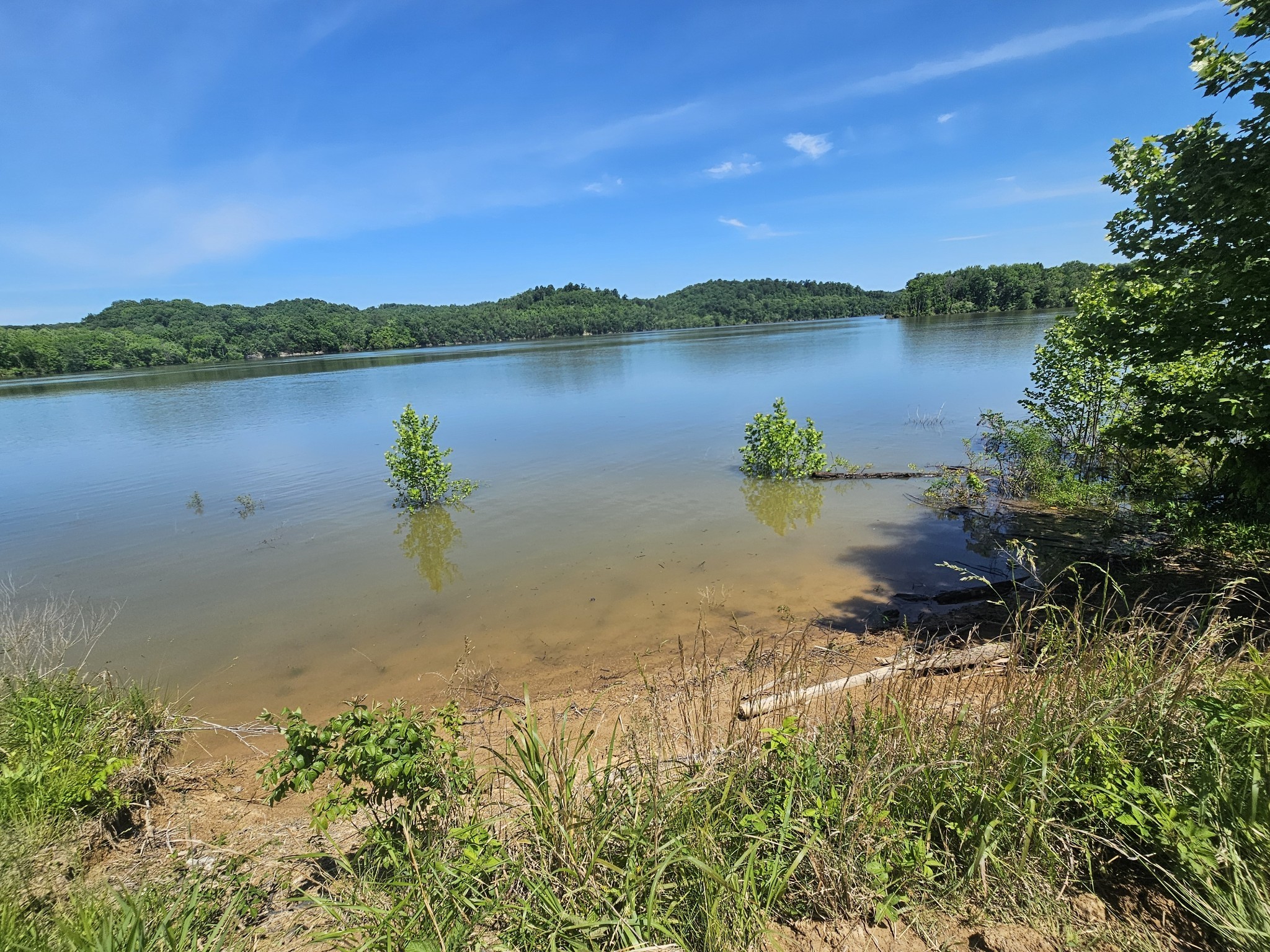 2475 Hardin Bottom River Road Clifton, TN 38425 - Photo 6 of 29