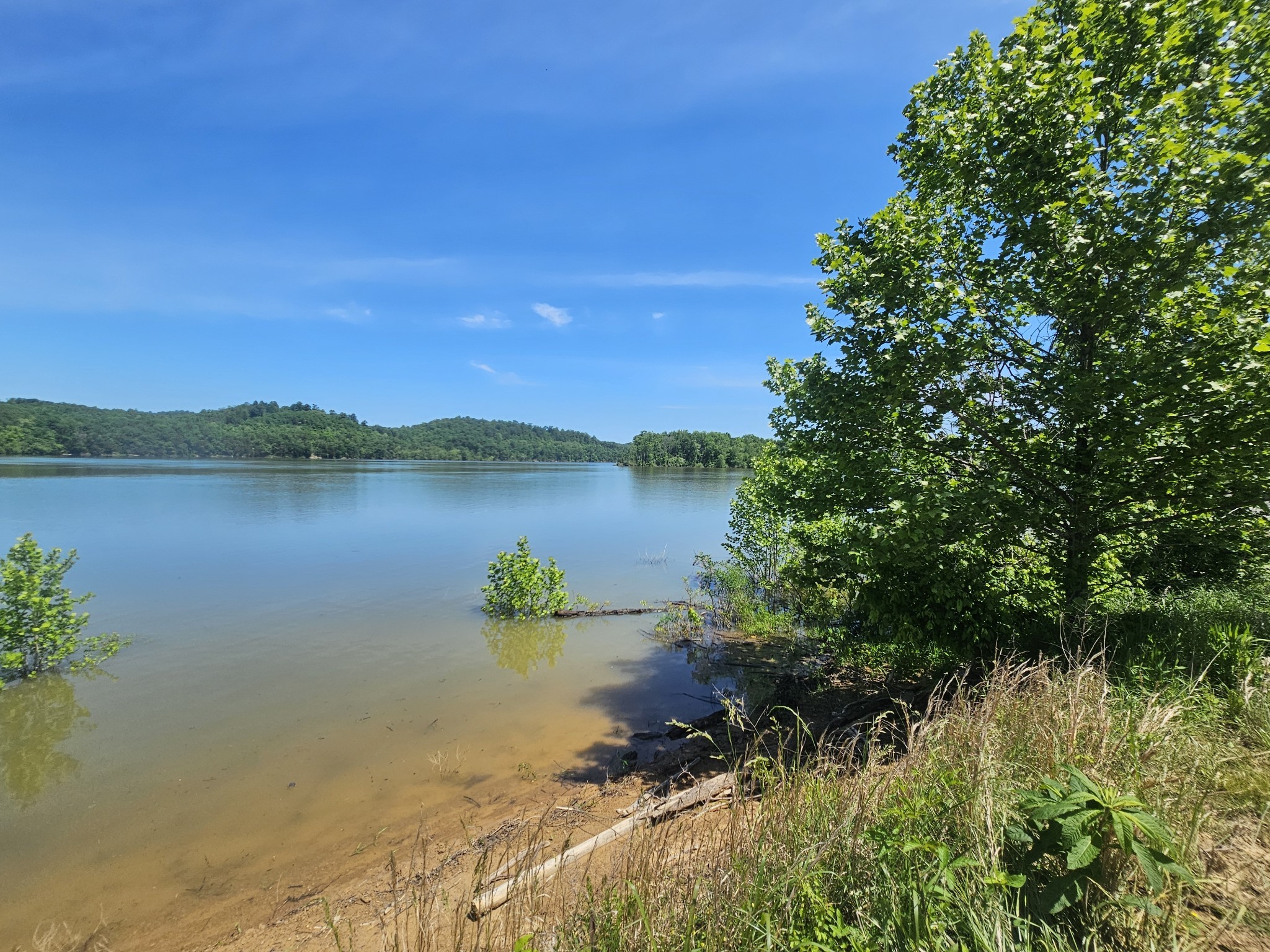 2475 Hardin Bottom River Road Clifton, TN 38425 - Photo 8 of 29