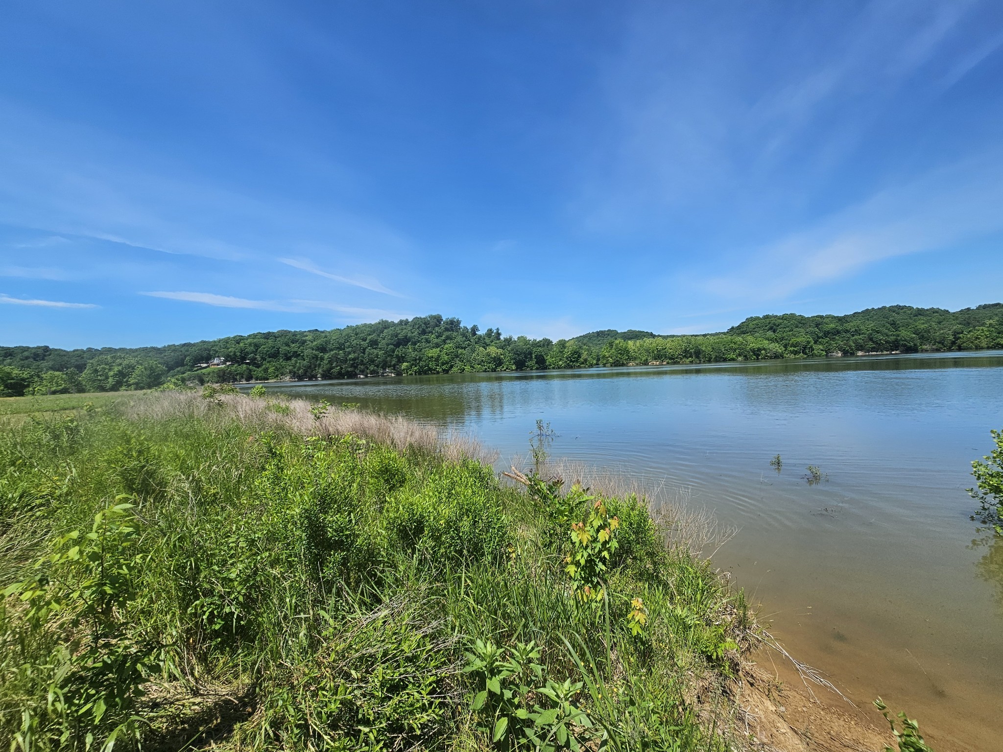 2475 Hardin Bottom River Road Clifton, TN 38425 - Photo 9 of 29