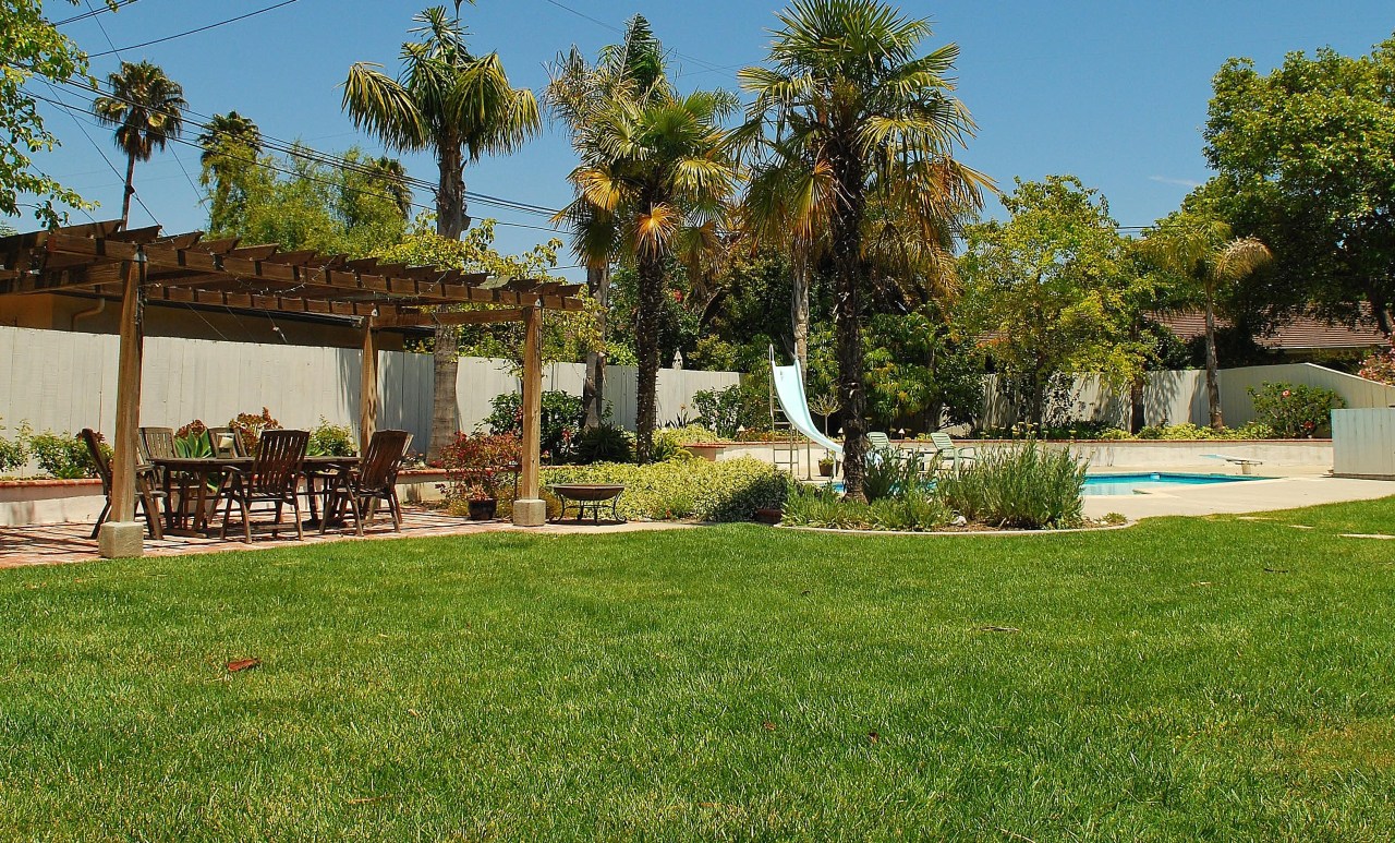 Backyard Lawn and Pool