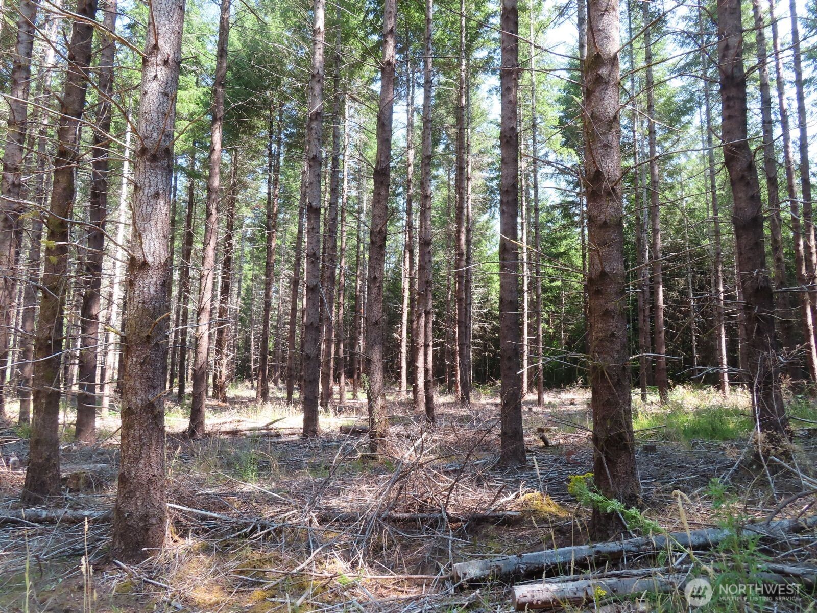 -xxx Chandler Road Chehalis, WA 98532 - Photo 3 of 22 Gallery Image 3