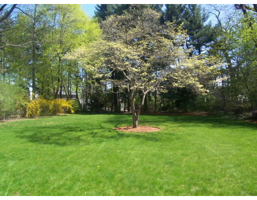 38 Governors Road Milton, MA 02186 - Photo 13 of 15 a view of a park with large trees