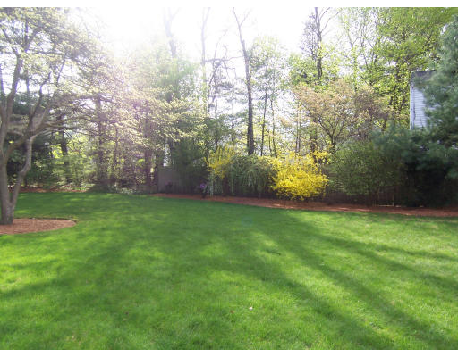 38 Governors Road Milton, MA 02186 - Photo 14 of 15 a view of yard with green space