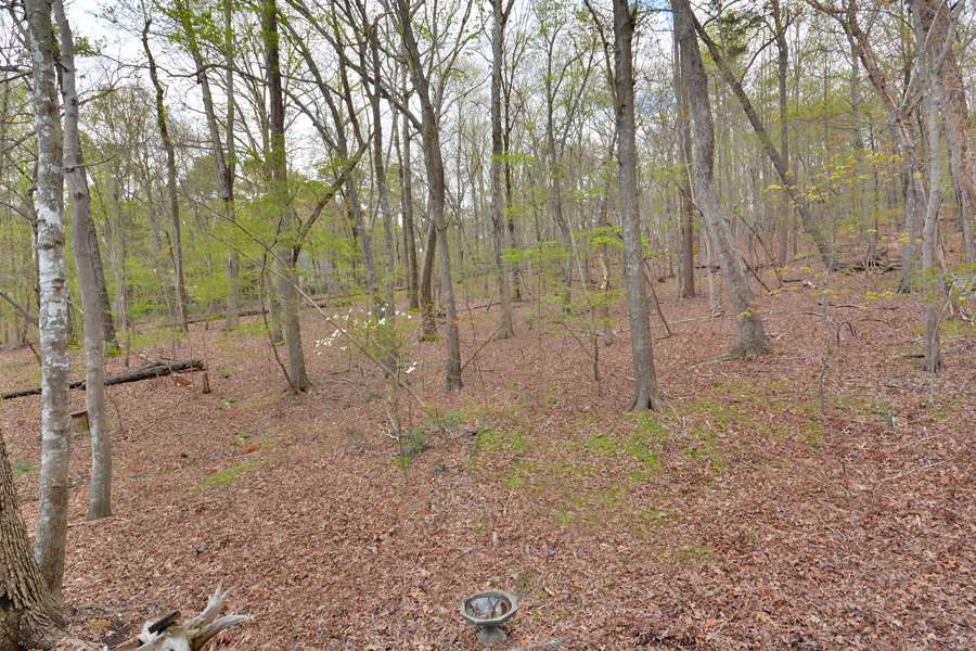 5619 Red Coach Road Durham, NC 27712 - Photo 27 of 30 Backyard