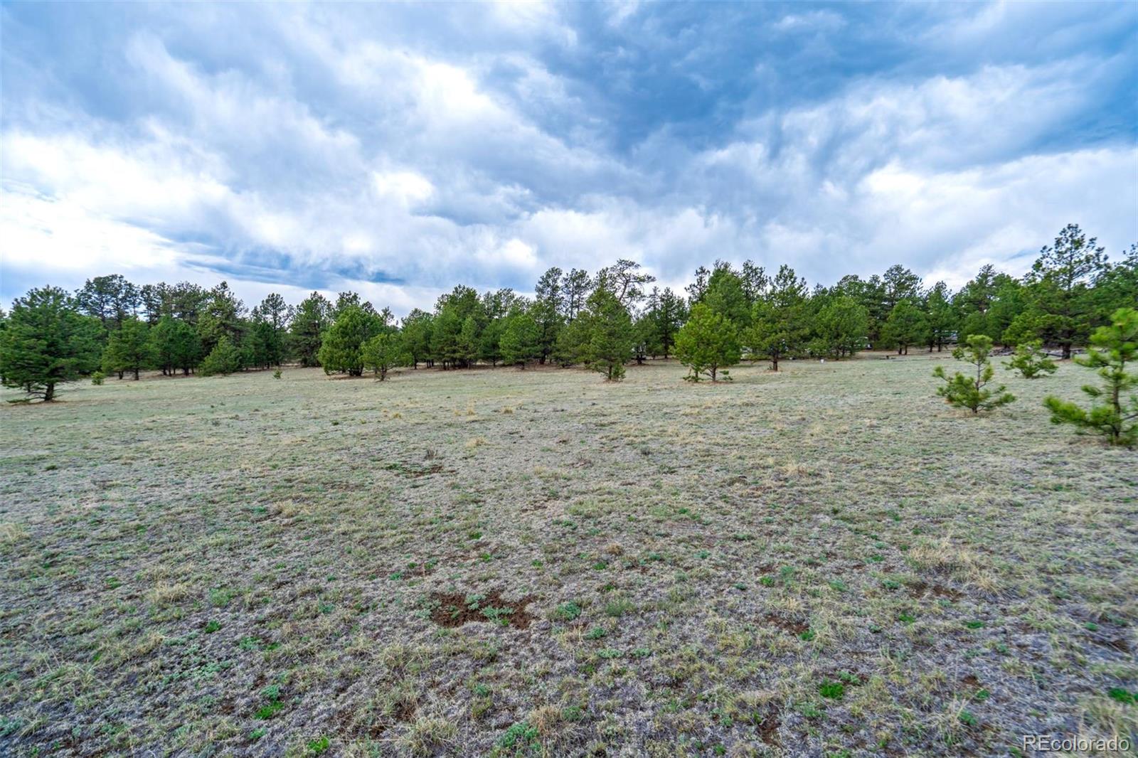 103 Doe Valley Road Guffey, CO 80820 - Photo 11 of 46