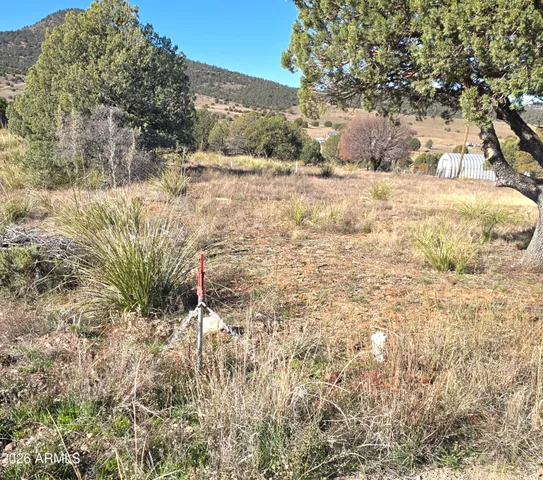 a view of a dry yard
