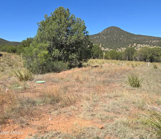 a view of a dry yard covered with snow in the background
