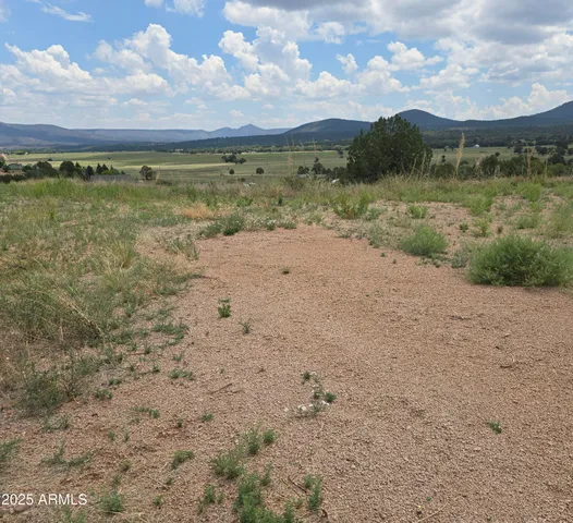 a view of a dry yard covered with snow in the background