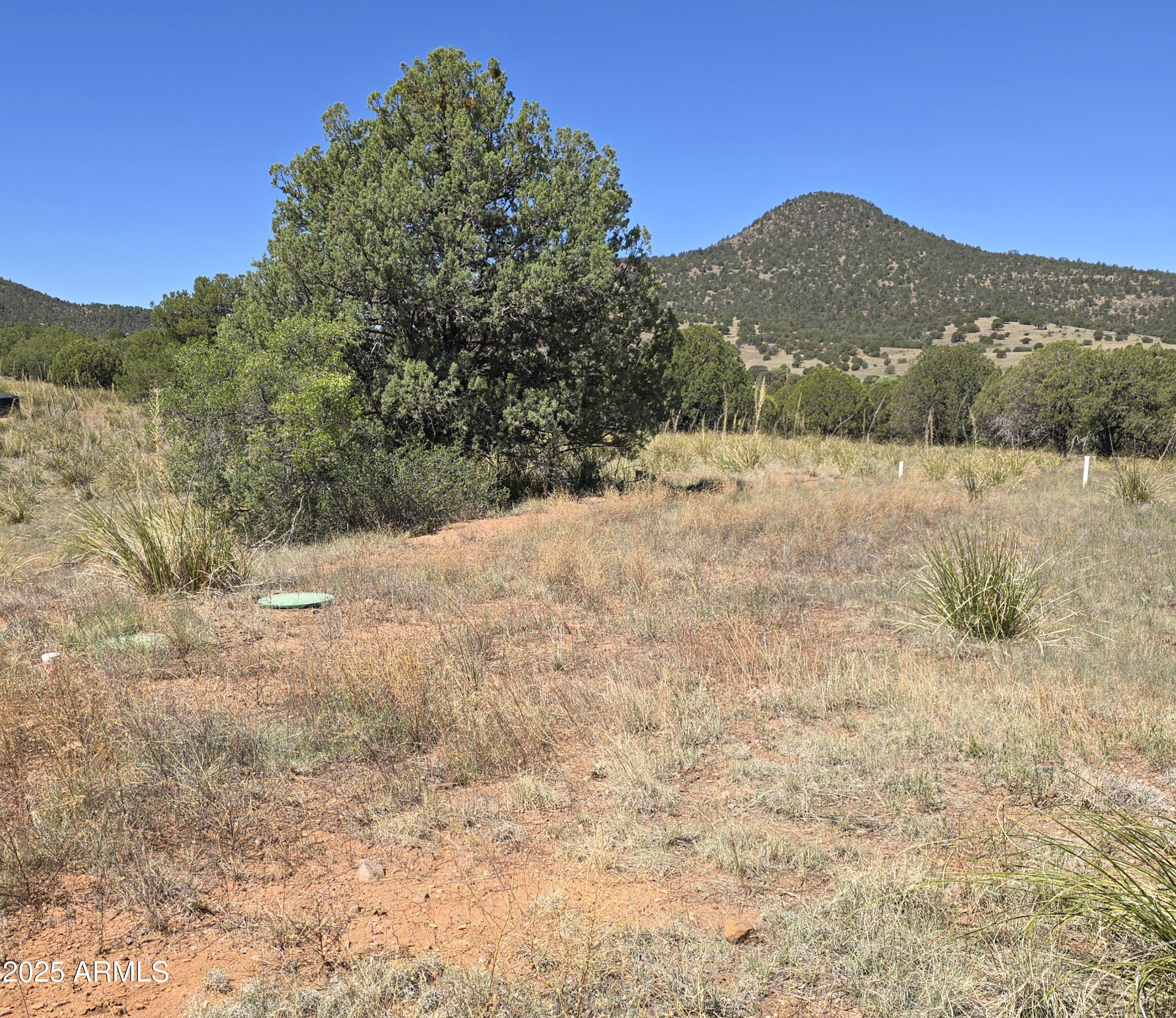 410 Rolling Hills Road, Unit 1&2 Young, AZ 85554 - Photo 5 of 8 a view of a dry yard covered with snow in the background