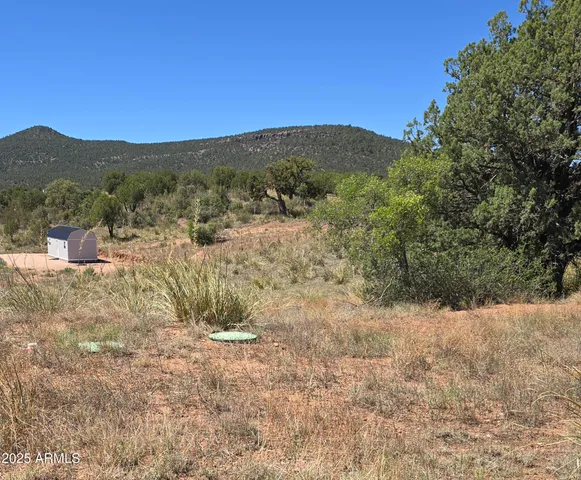 a view of a lake with a mountain in the background