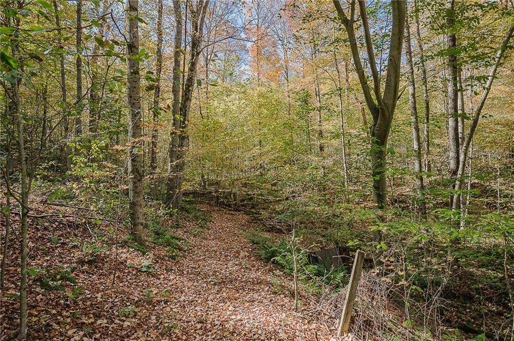 1504-1786 Gamble Road New Florence, PA 15944 - Photo 11 of 35