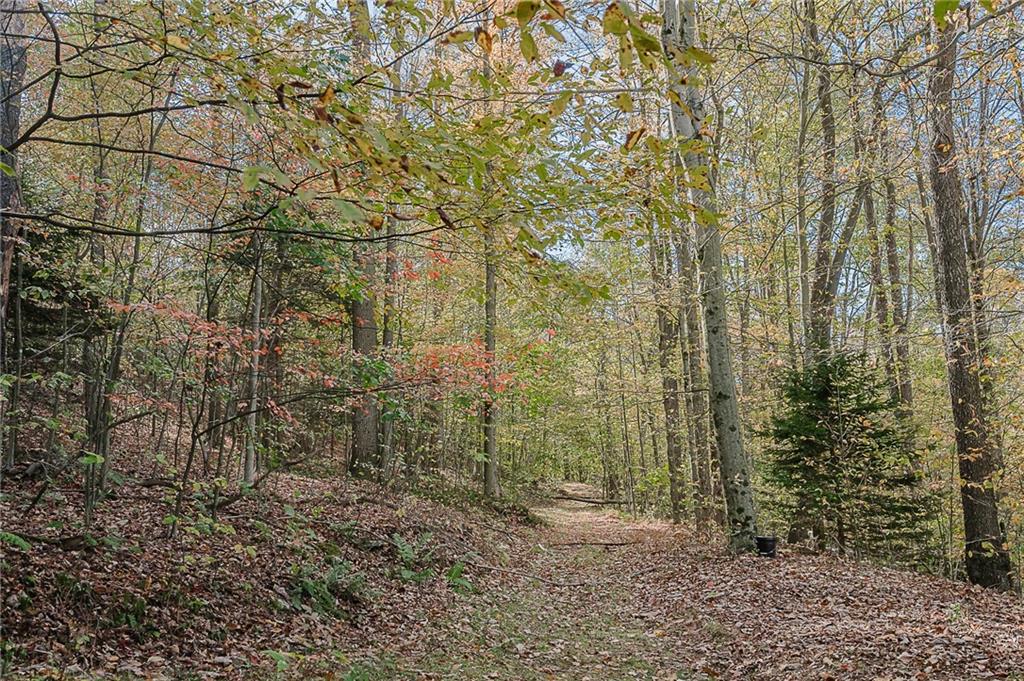 1504-1786 Gamble Road New Florence, PA 15944 - Photo 12 of 35