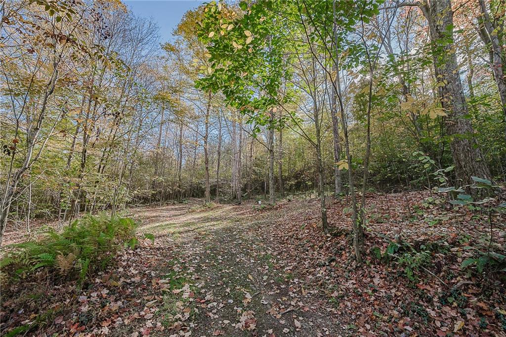 1504-1786 Gamble Road New Florence, PA 15944 - Photo 15 of 35