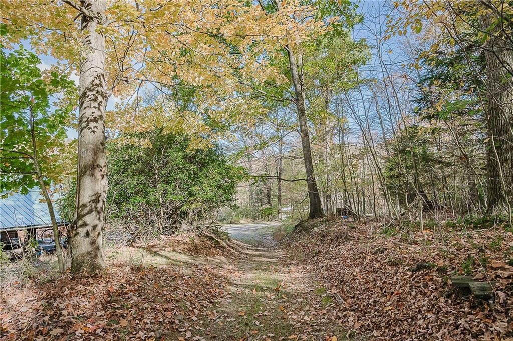 1504-1786 Gamble Road New Florence, PA 15944 - Photo 8 of 35