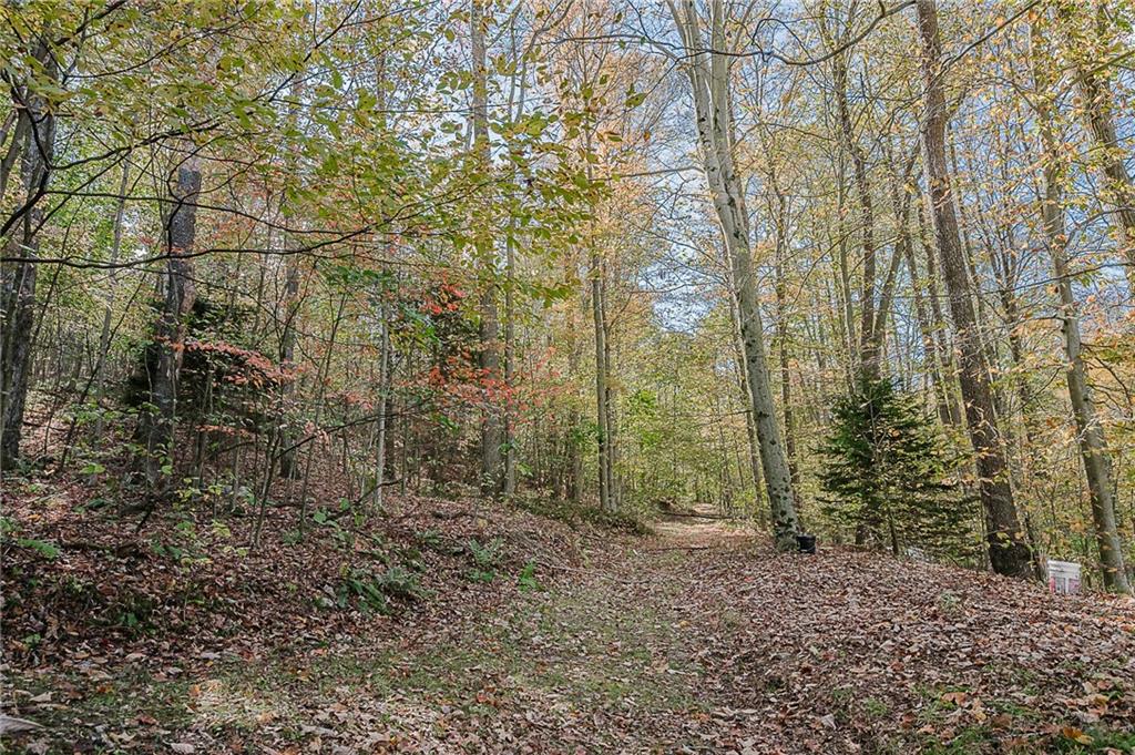 1504-1786 Gamble Road New Florence, PA 15944 - Photo 9 of 35