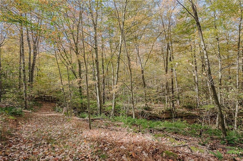 1504-1786 Gamble Road New Florence, PA 15944 - Photo 10 of 35