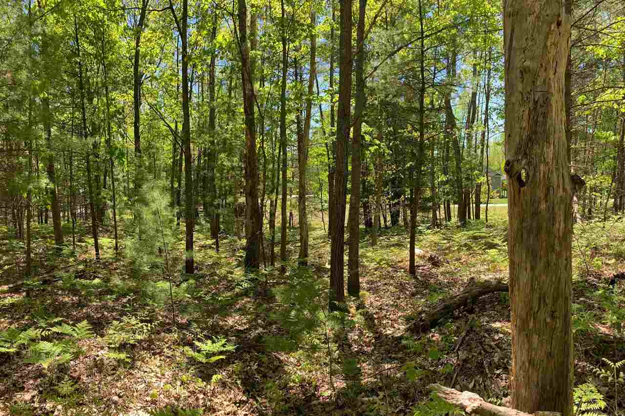 1727 Round Lake Road Interlochen, MI 49643 - Photo 14 of 31 1888245-13.JPG