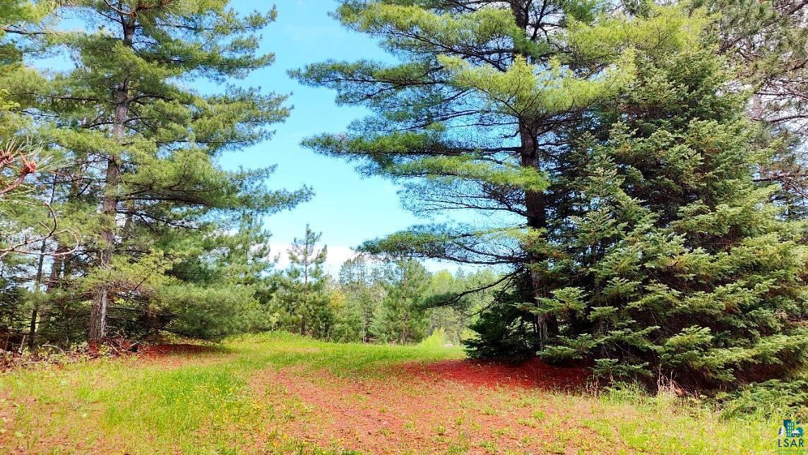 80064 Osprey Pass Tower, MN 55790 - Photo 8 of 53