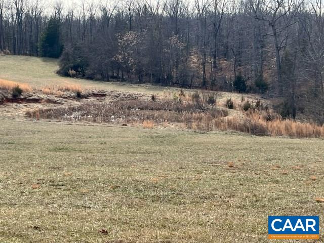 976 Douglas Church Road Farmville, VA 23901 - Photo 2 of 37 a view of a yard