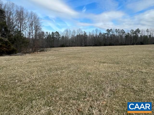 976 Douglas Church Road Farmville, VA 23901 - Photo 3 of 37 a view of a outdoor space with trees