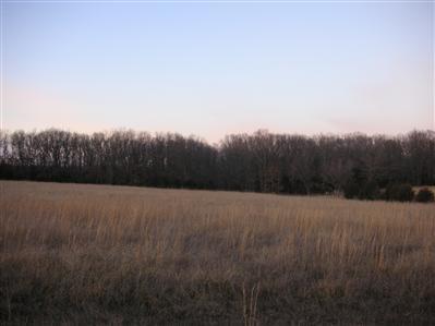0 Pine Grove Road Marshfield, MO 65706 - Photo 1 of 1 Primary Photo