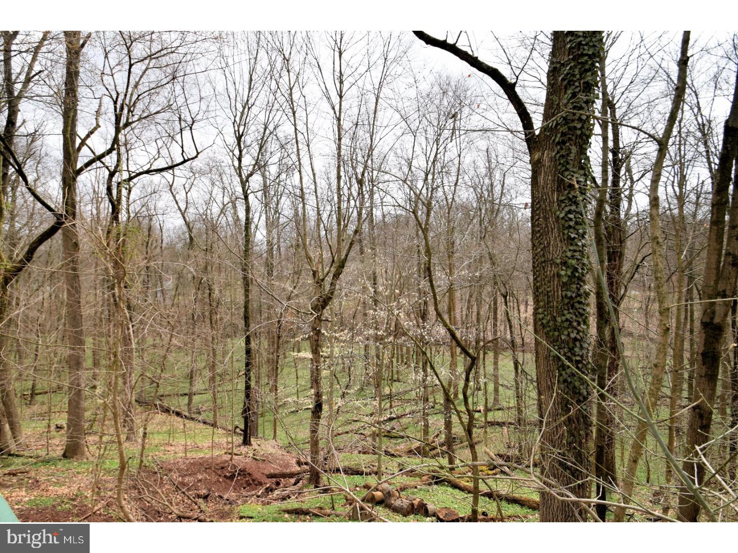 1038 Longspur Road Audubon, PA 19403 - Photo 20 of 25 Back Yard