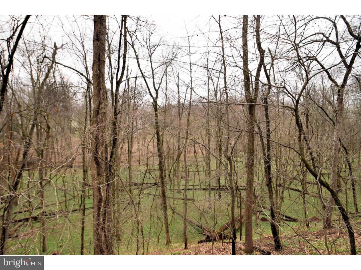 1038 Longspur Road Audubon, PA 19403 - Photo 23 of 25 Back Yard