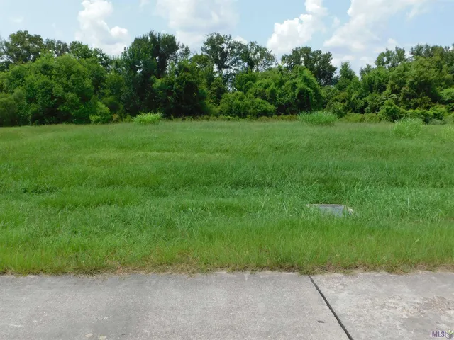$43,431 | Tbd Tbd Triple Ridge Boulevard, Cut Off, LA 70345