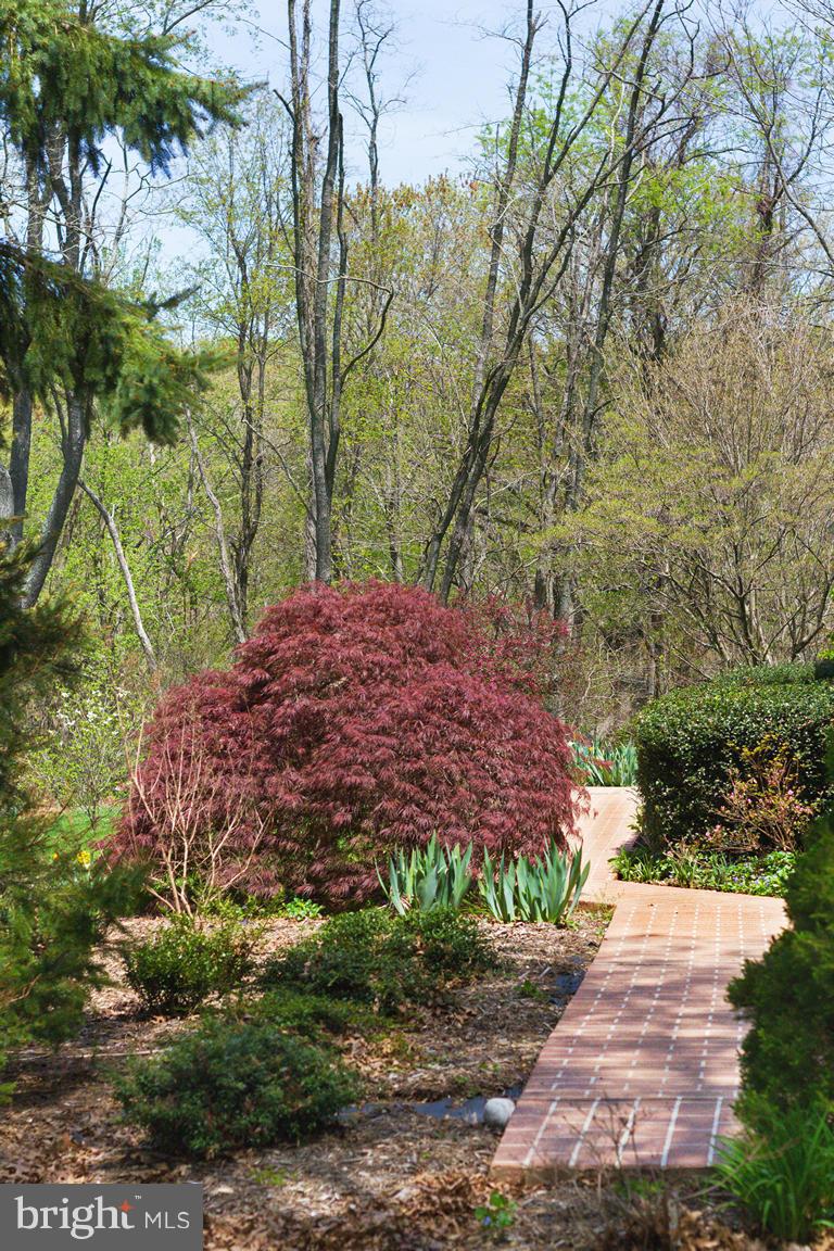 2209 Furnace Road Fallston, MD 21047 - Photo 28 of 30 a view of a backyard