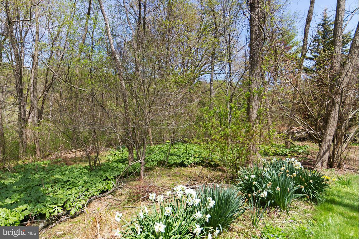 2209 Furnace Road Fallston, MD 21047 - Photo 29 of 30 a backyard of a house with lots of green space and chair