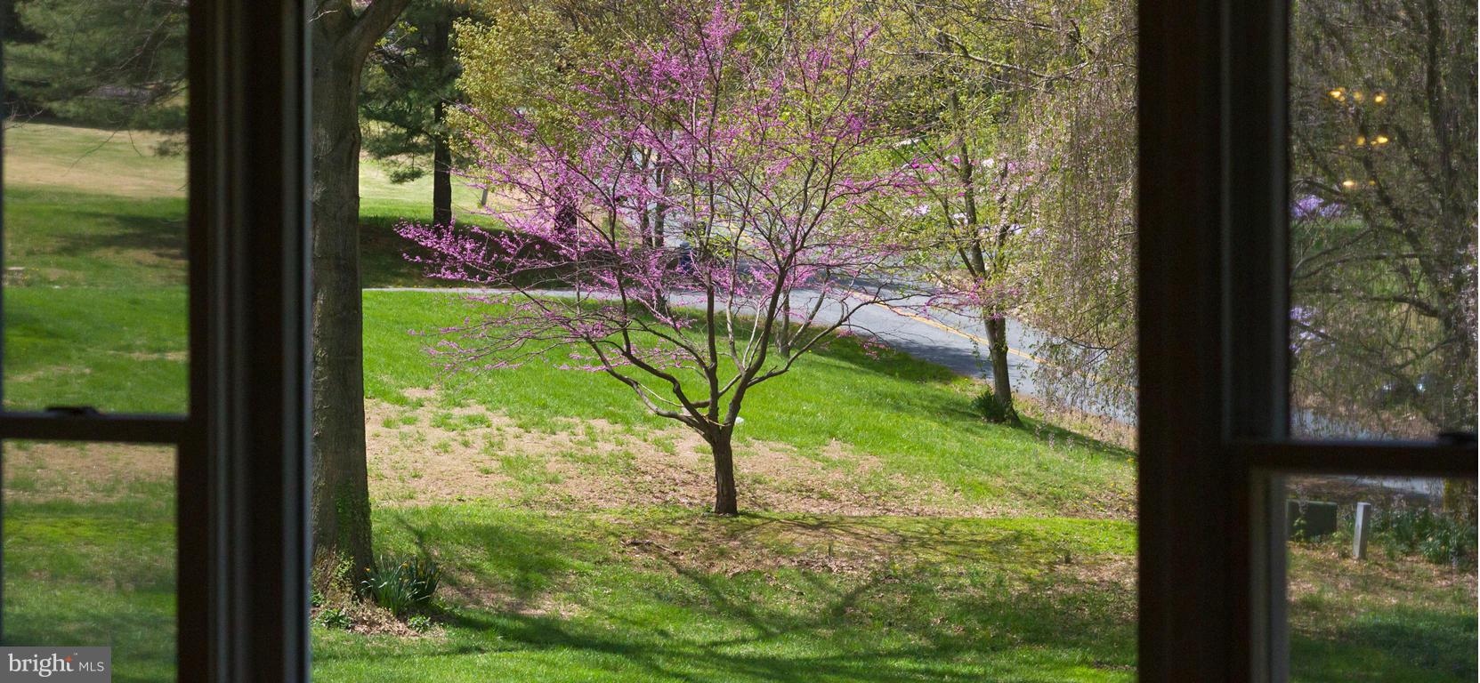2209 Furnace Road Fallston, MD 21047 - Photo 7 of 30 a view of backyard from a window
