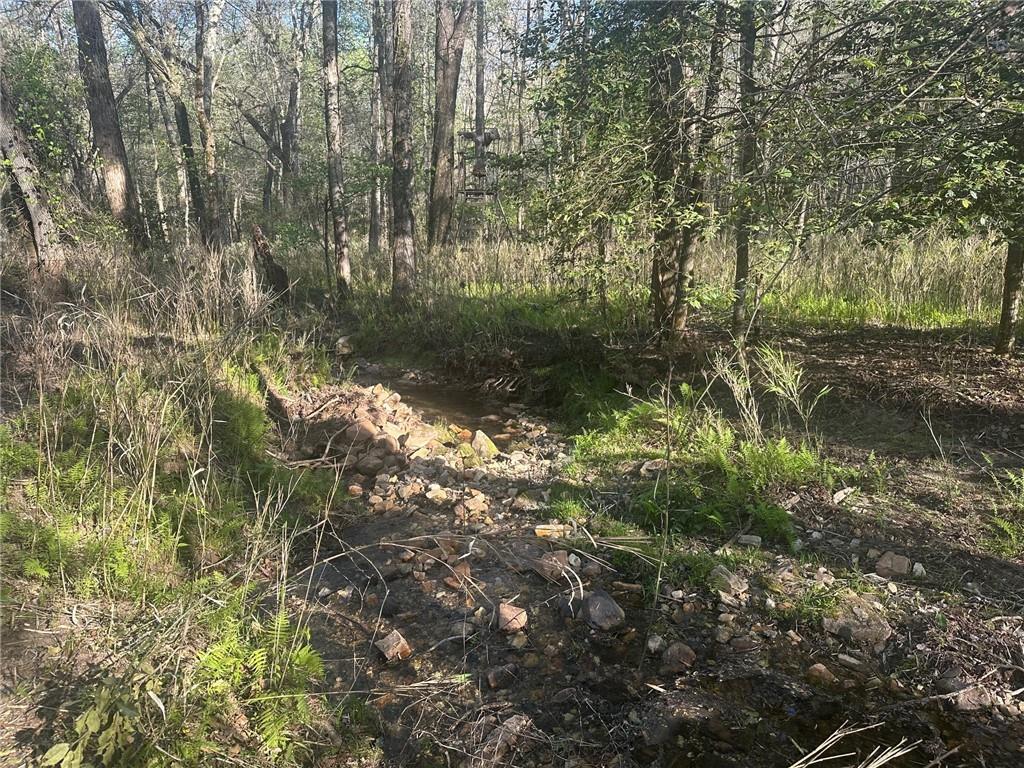 0 Lee Mashburn Road Dahlonega, GA 30533 - Photo 11 of 19