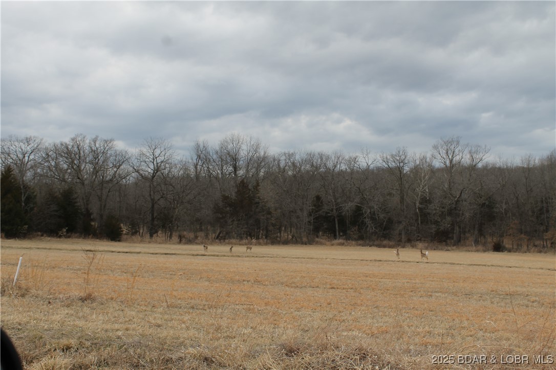 Ritchie Lane, Unit 2173 Edwards, MO 65326 - Photo 9 of 10 An abundance of wildlife