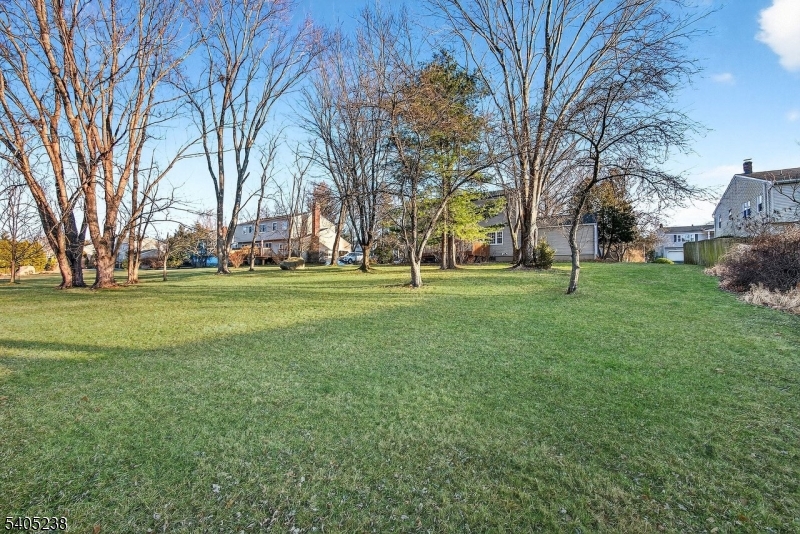 6 Phoenix Drive Mendham, NJ 07945 - Photo 19 of 23 a view of a park with large trees