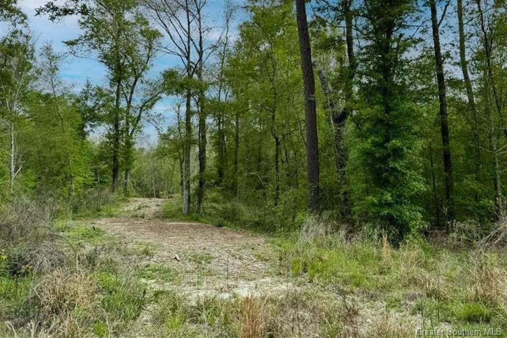 0 Welcome Road Lake Charles, LA 70611 - Photo 1 of 12