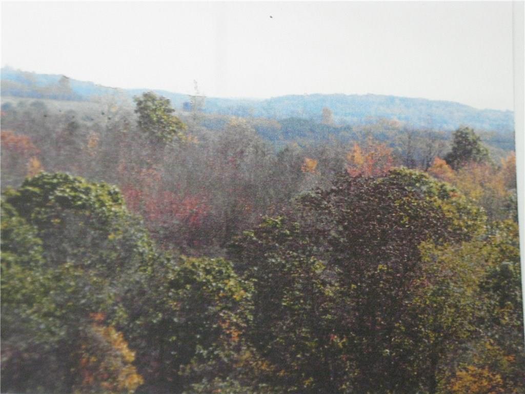 471 Summit Ridge Road New Bethlehem, PA 16242 - Photo 17 of 19 View from the subject property.